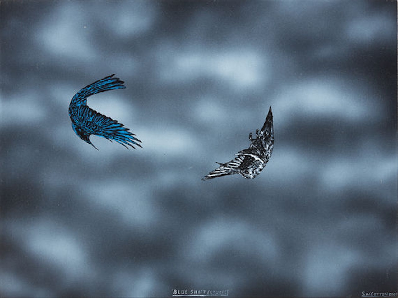 Blue Shift (Study I) by Shane Cotton