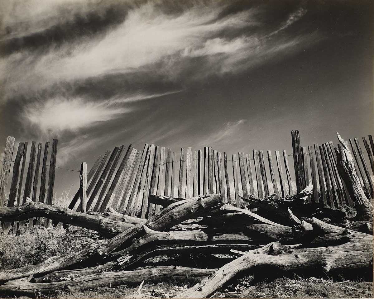 Las Lomas Rancho by Edward Weston