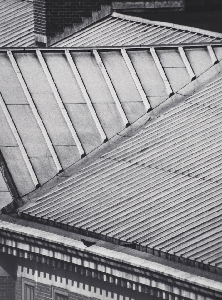 New York University Roofs by André Kertész