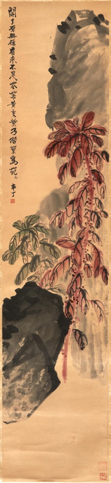 ARAMANTHUS AND ROCK by Chen Banding