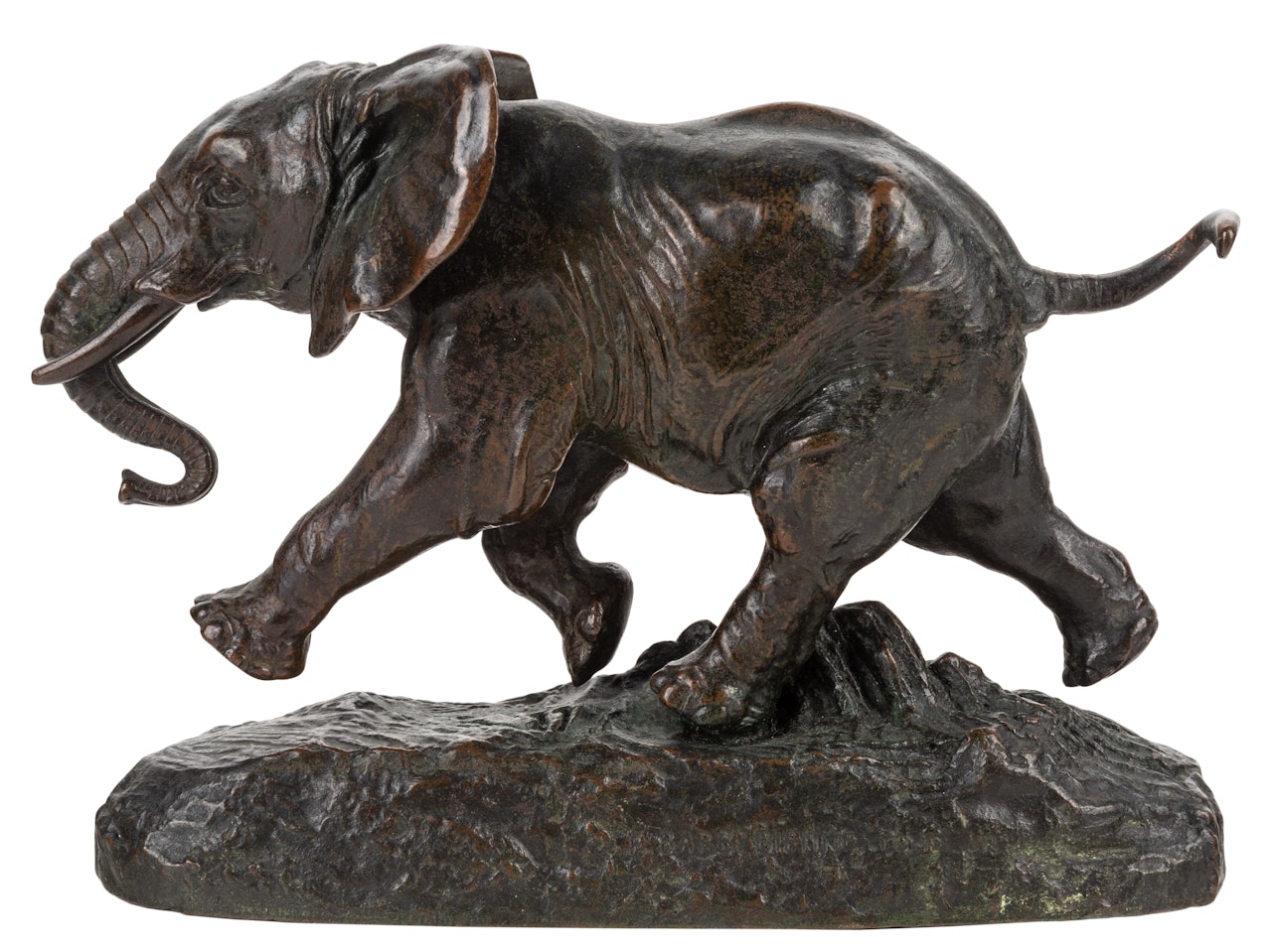 Elephant du Senegal (Senegalese Elephant) by Antoine-Louis Barye