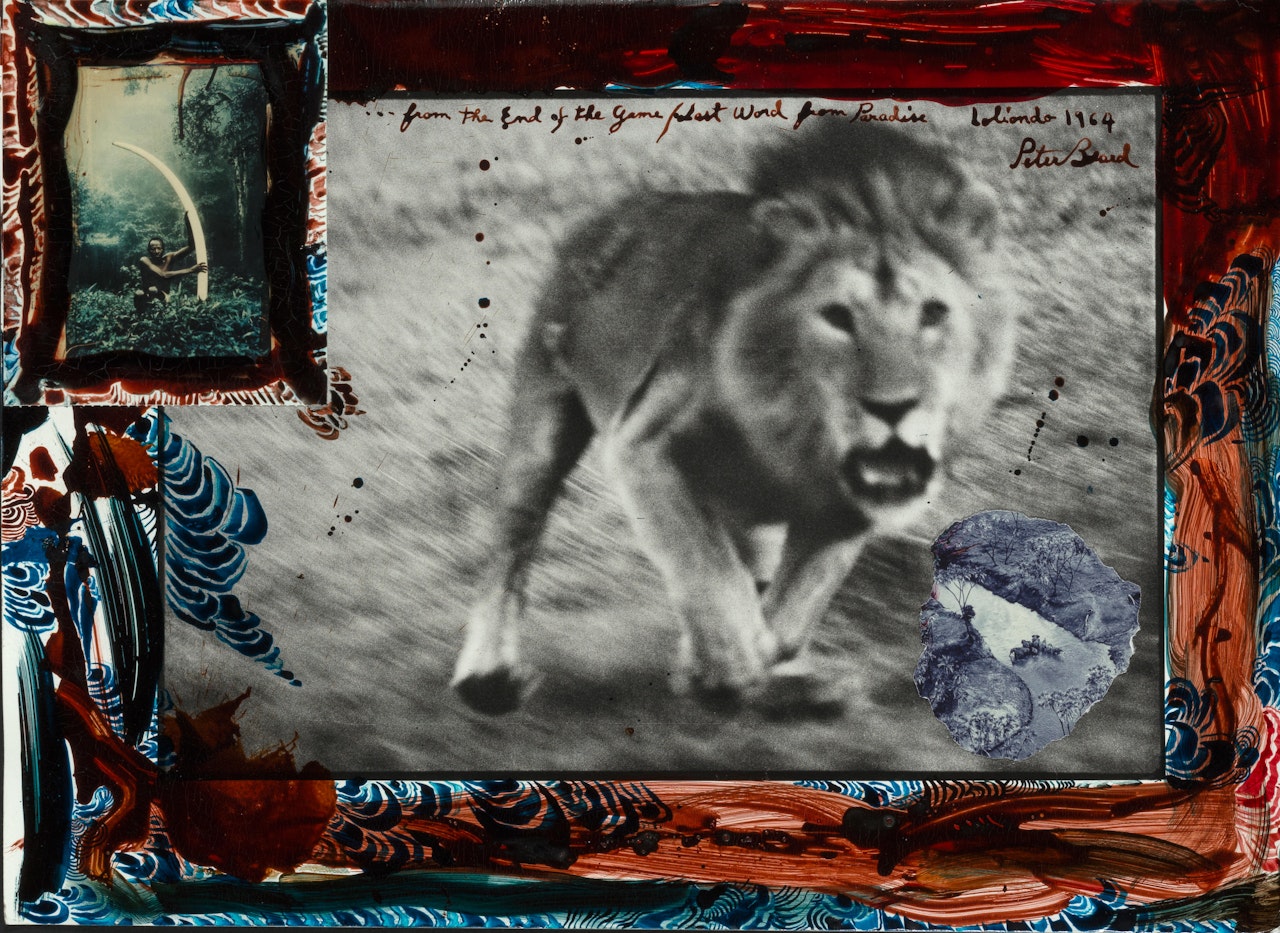 Loliondo Lion Charge by Peter Beard