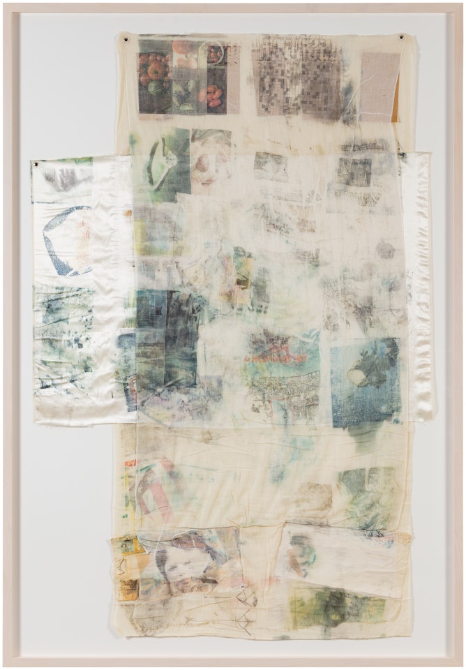 Bonus (from the Hoarfrost Series) by Robert Rauschenberg