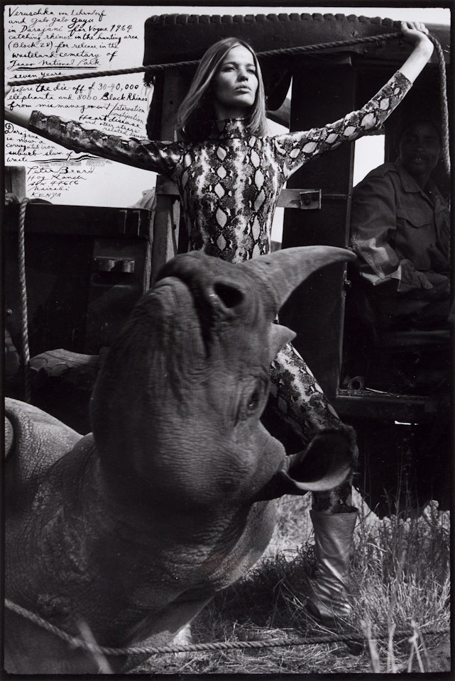 Veruschka von Lehrndorf [sic] and Galo Galo Guyu in Darajani for Vogue (Rhino Roping) by Peter Beard