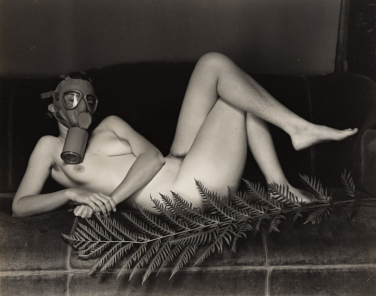 Civilian Defense by Edward Weston