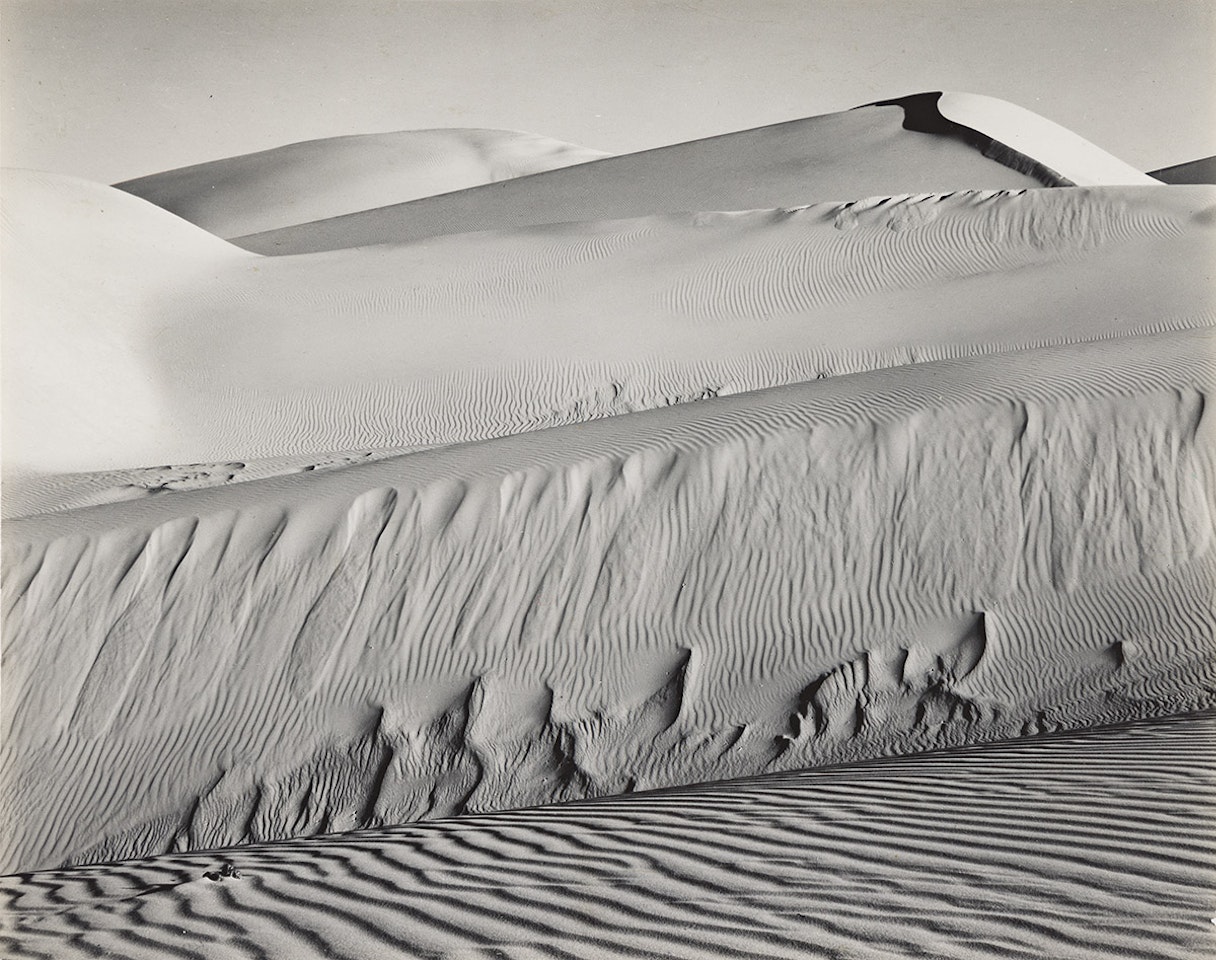 Dunes, Oceano (White Dunes) by Edward Weston