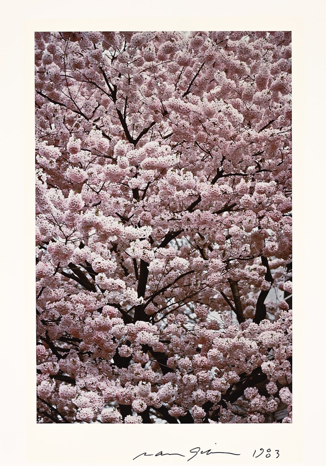 A portfolio entitled Color Nature Landscapes II by Various Artists