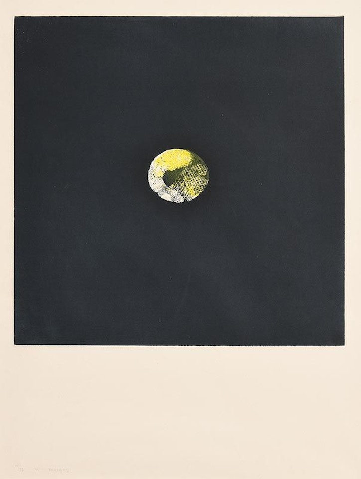 Lemon by Louis Le Brocquy