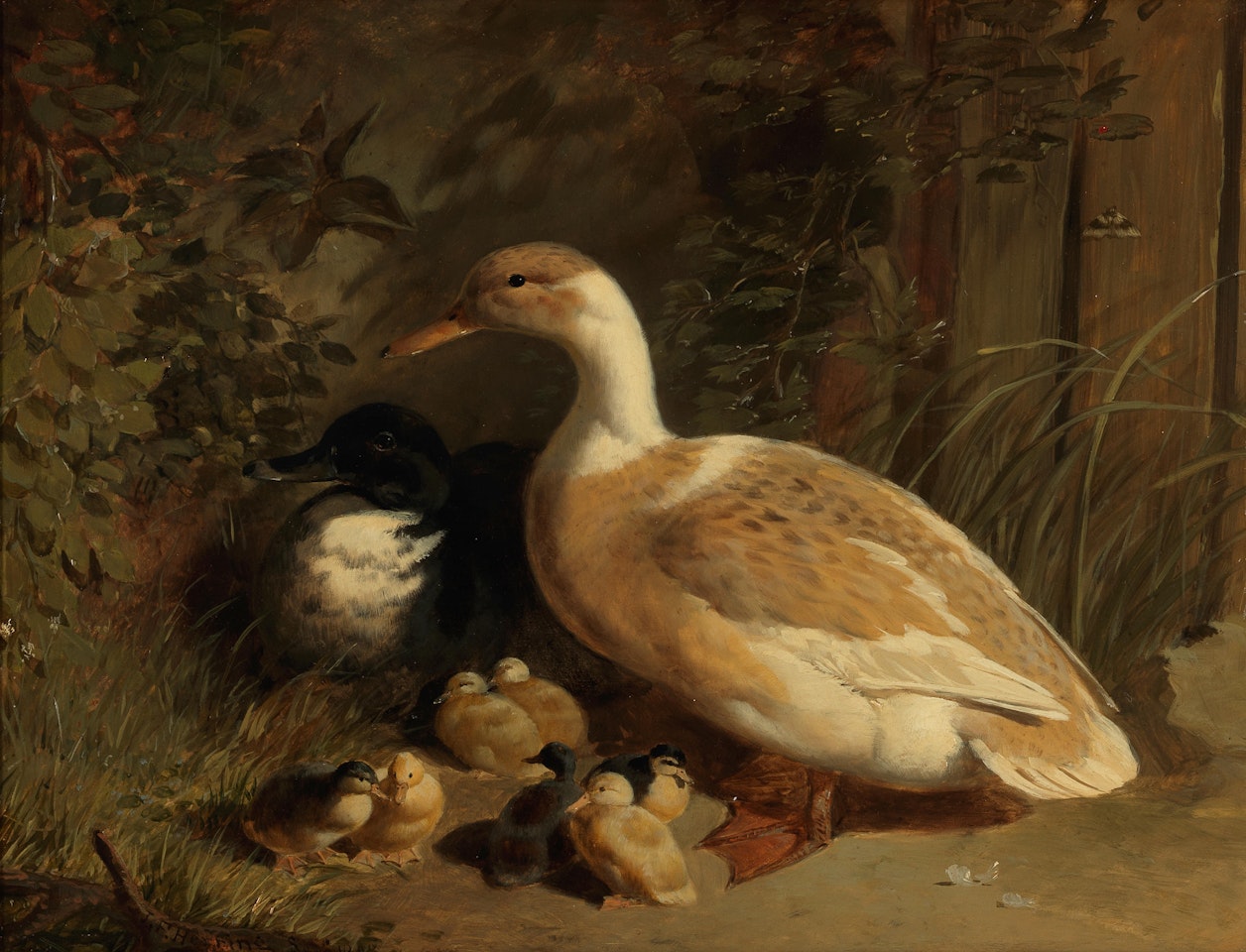 Ducks and ducklings by John Frederick Herring