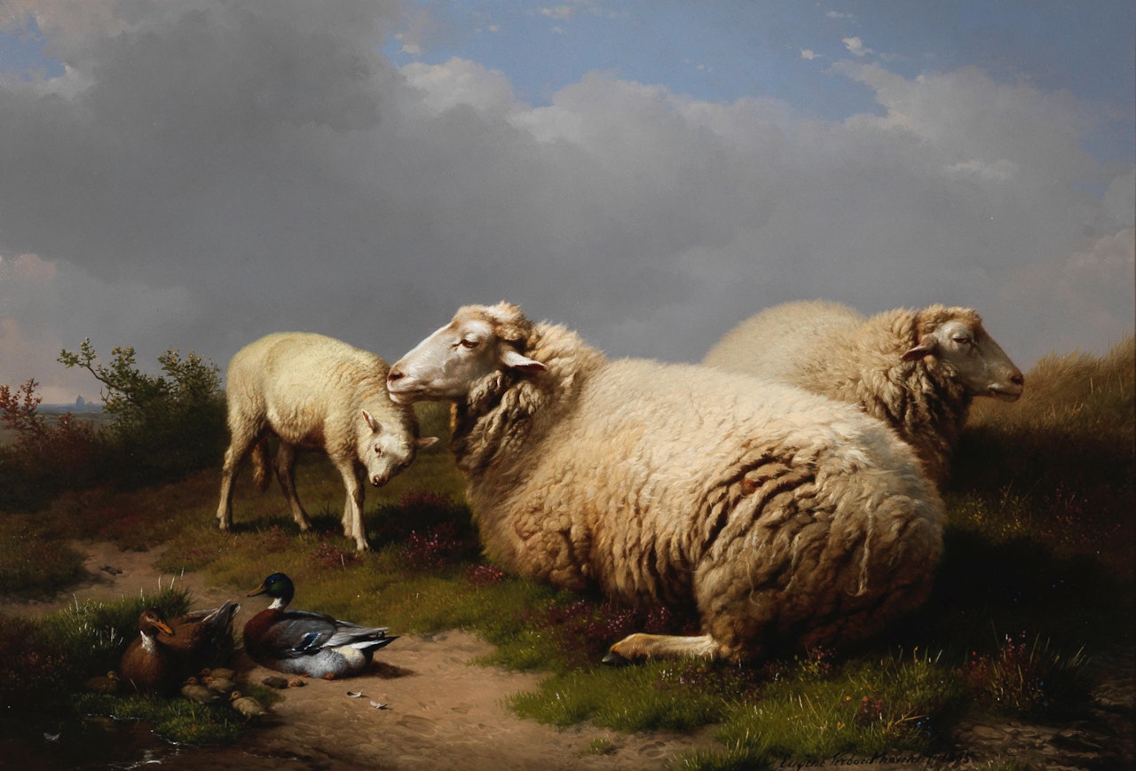 Sheep and ducks by Eugène Joseph Verboeckhoven