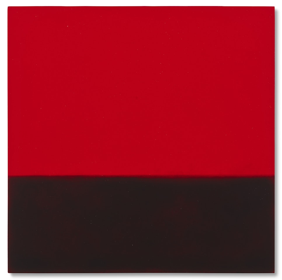 Untitled (Amazon Landscape) by Robert Longo