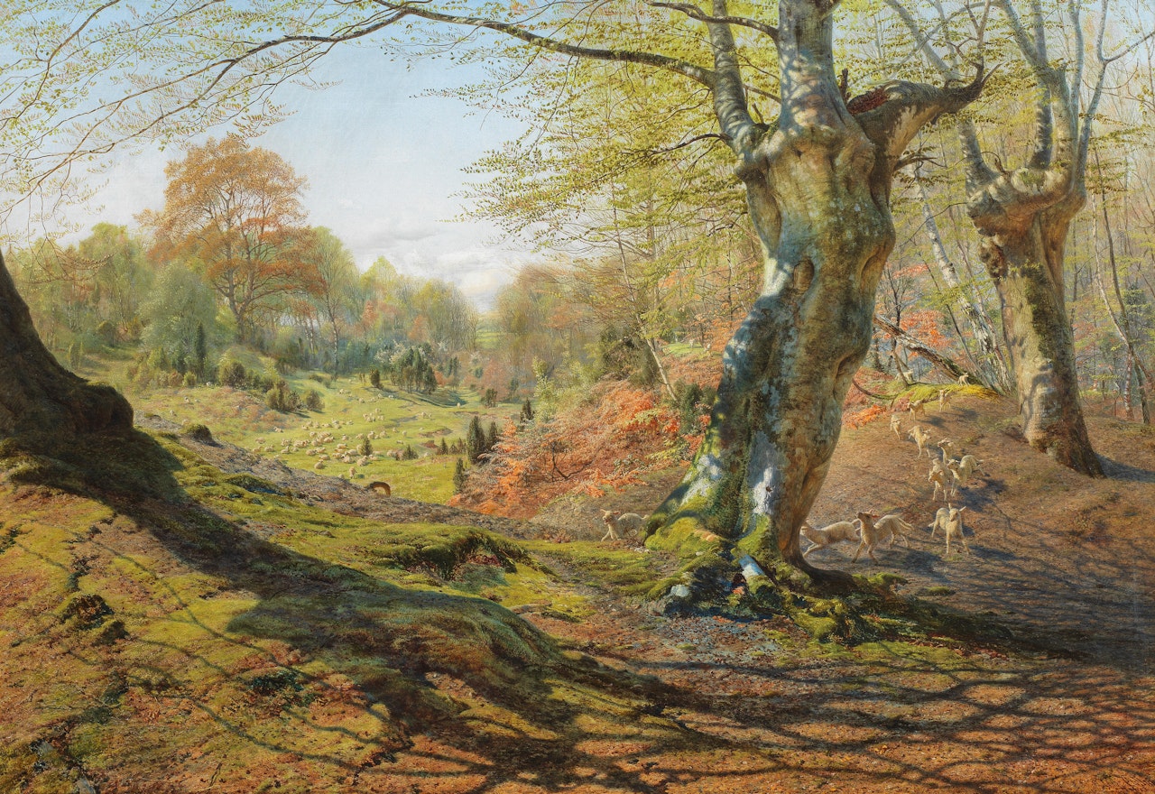 Spring - The outskirts of Burnham Wood by Andrew Maccallum