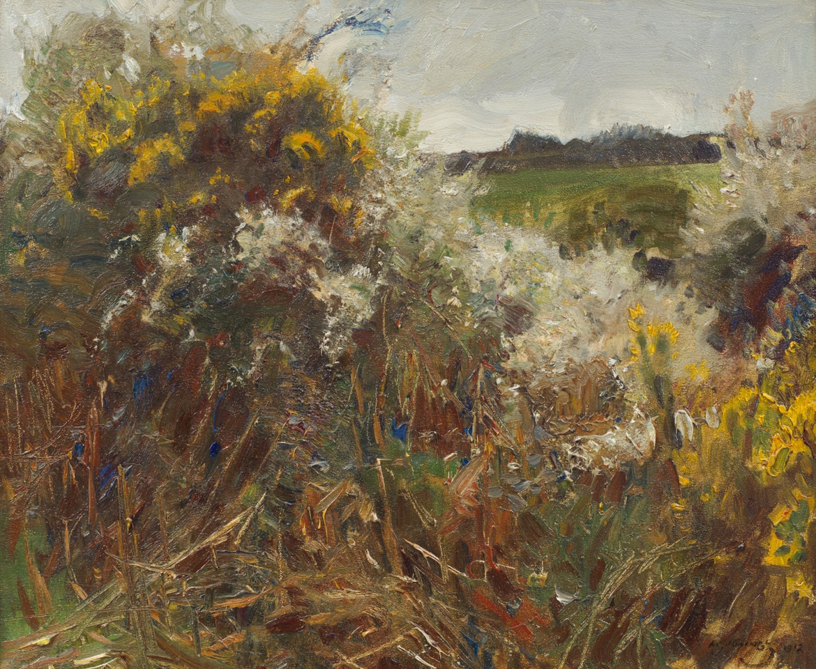 Gorse and grass by Alfred James Munnings