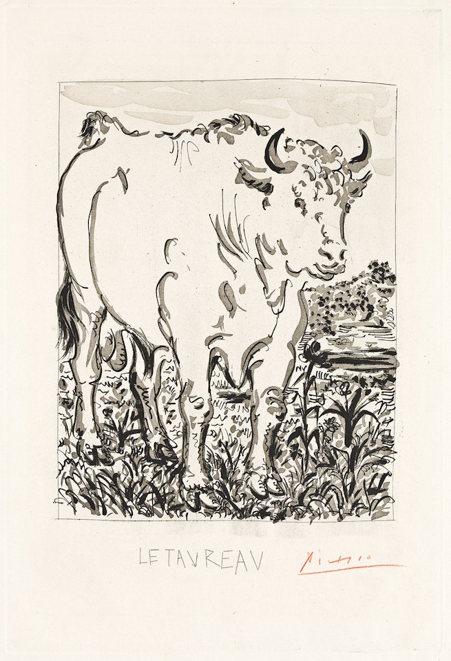 Le Taureau. by Pablo Picasso