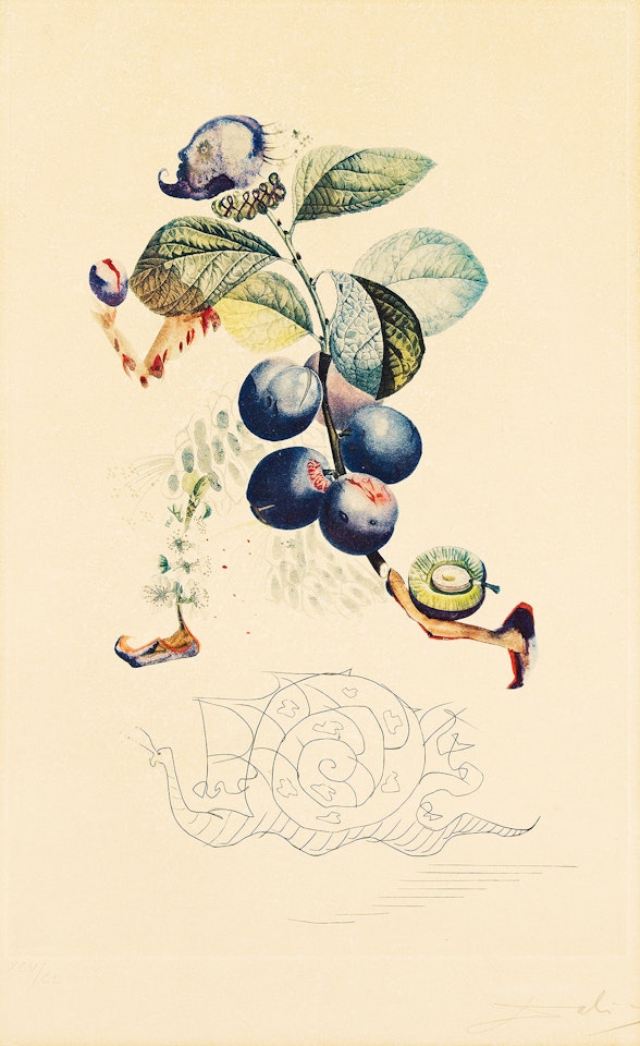 Prunier Hâtif. by Salvador Dali