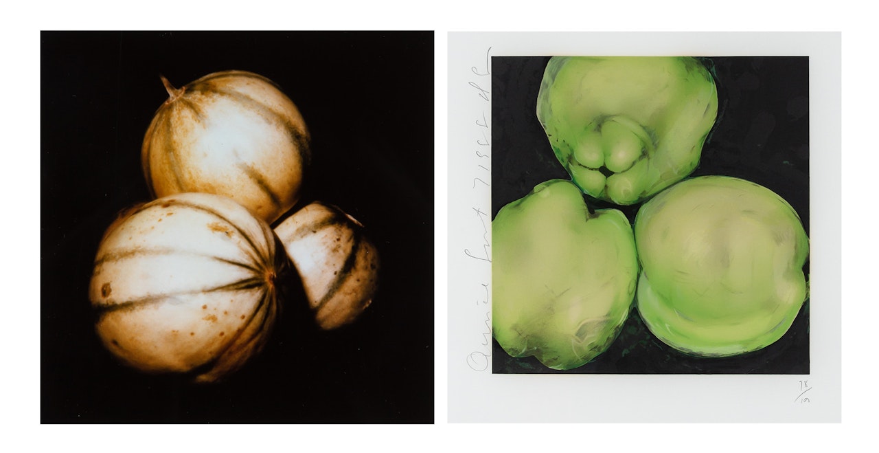 MELONS; QUINCE by Donald Sultan