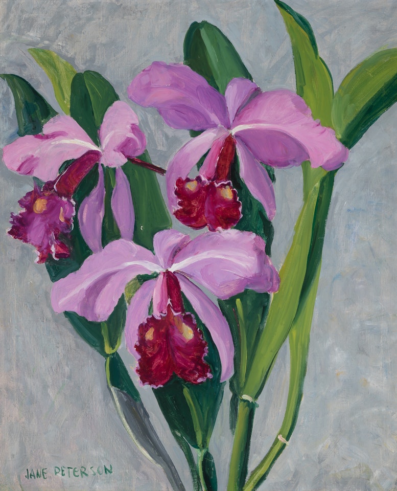 Cattleyas by Jane Peterson