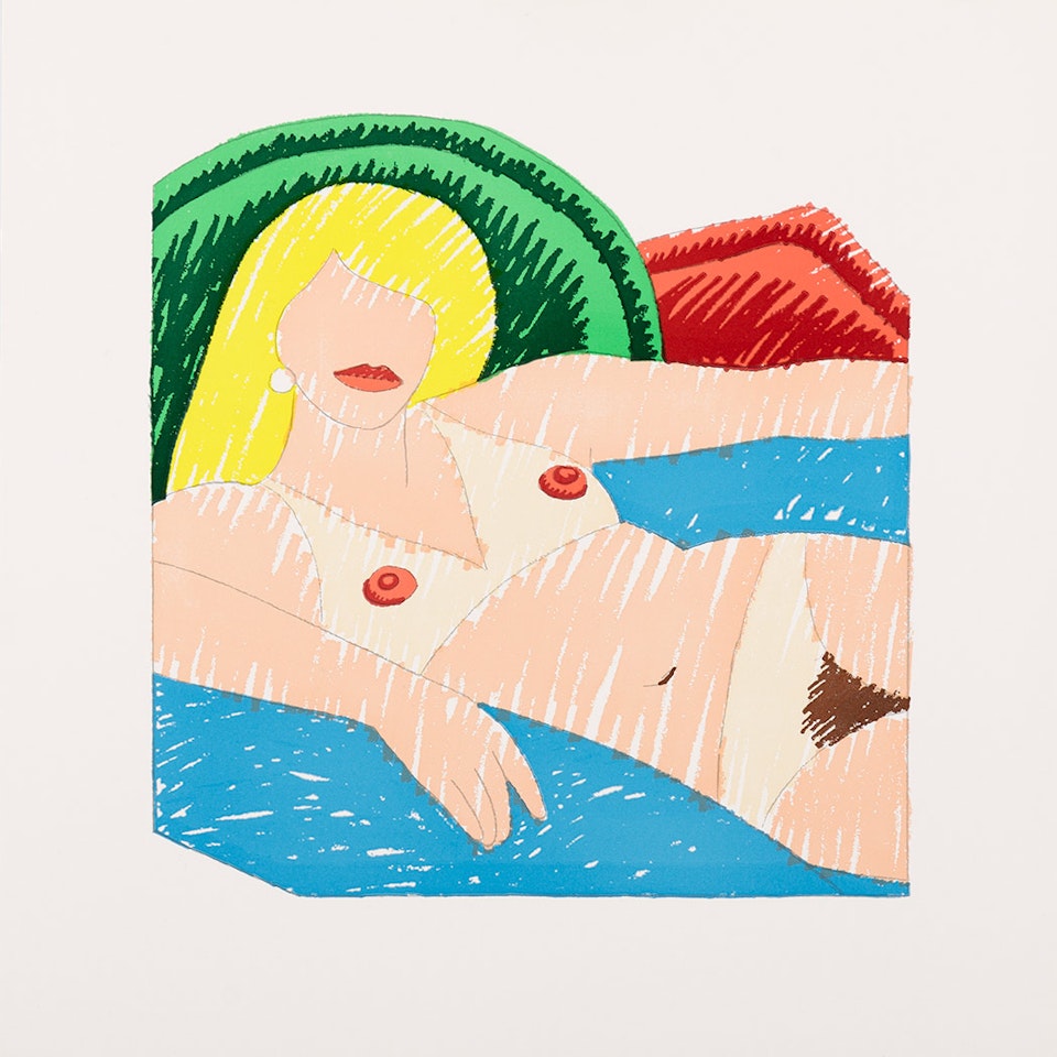 SHINY NUDE by Tom Wesselmann