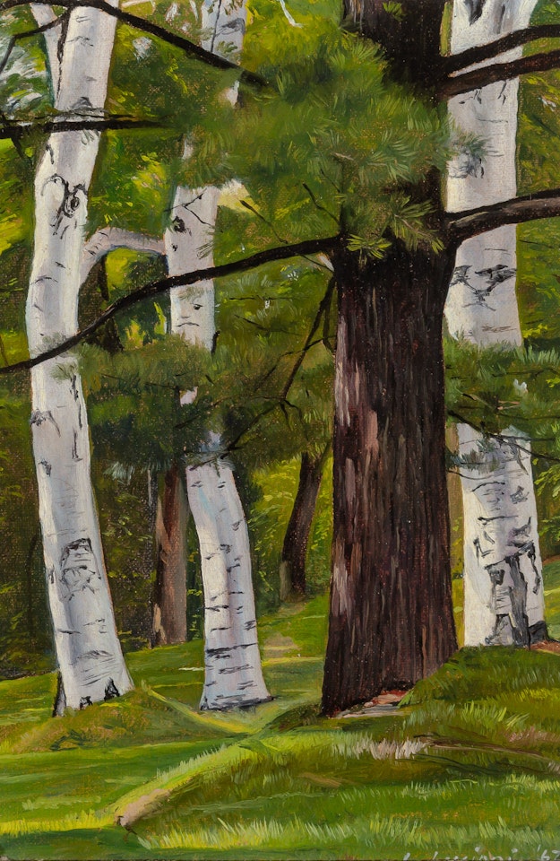 Birches and Pines by Luigi Lucioni