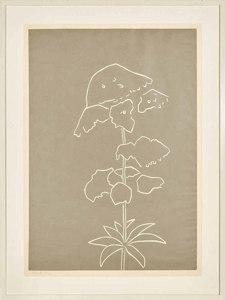 YARROW (CANTZ 376) by Alex Katz