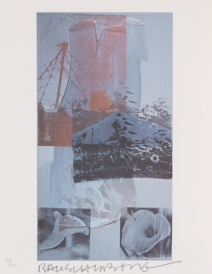 TANYA"S VEIL (WHALE) by Robert Rauschenberg