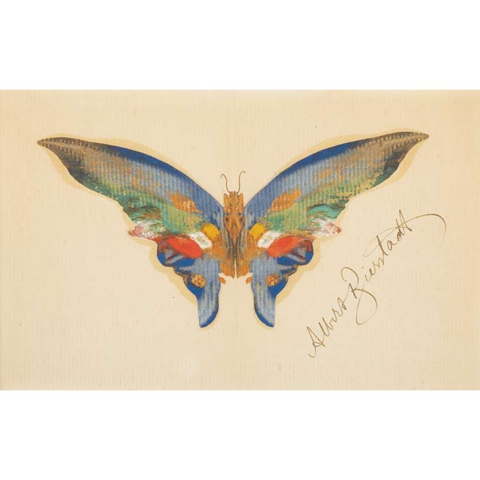 Butterfly by Albert Bierstadt