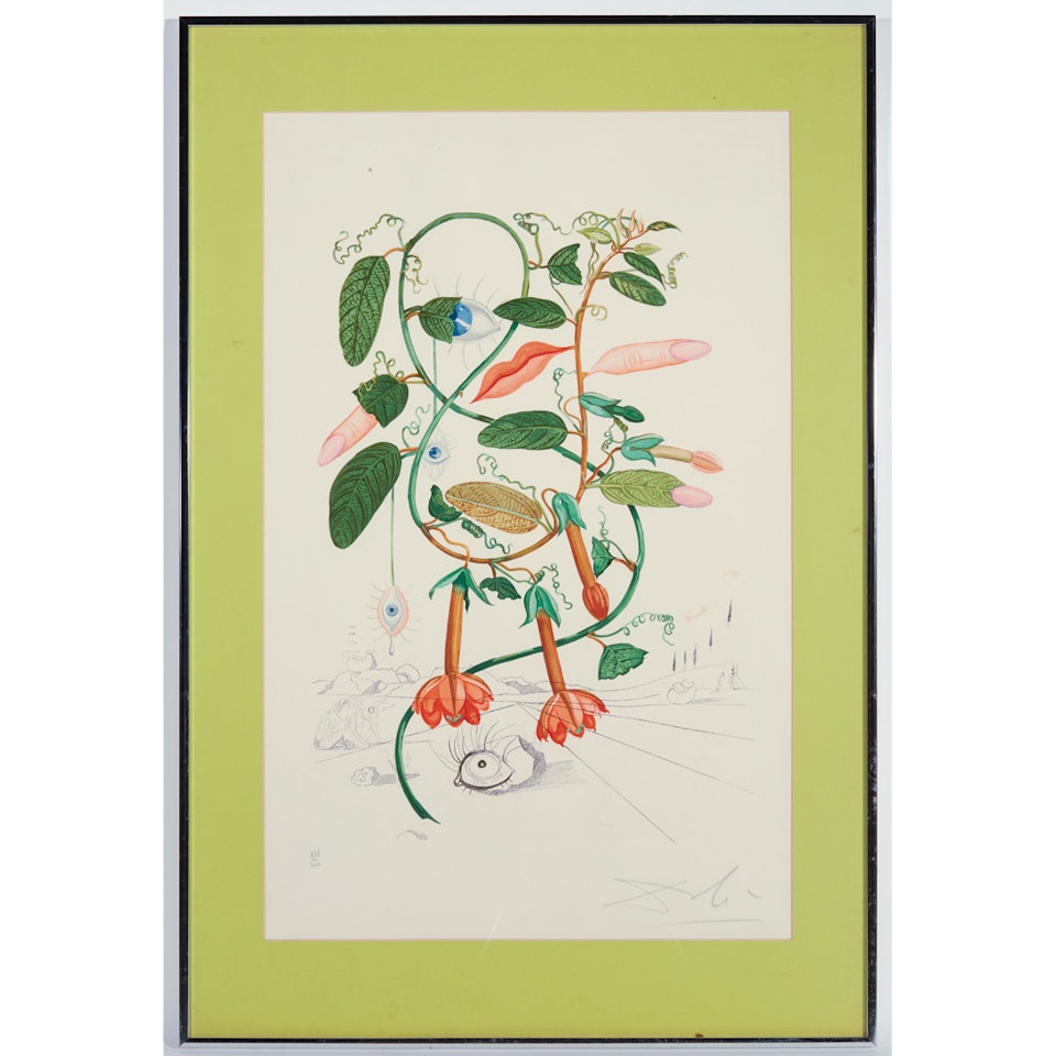 COBEA (PISUM SENSUALE) (F. 68-3I; M./L. 234) by Salvador Dali
