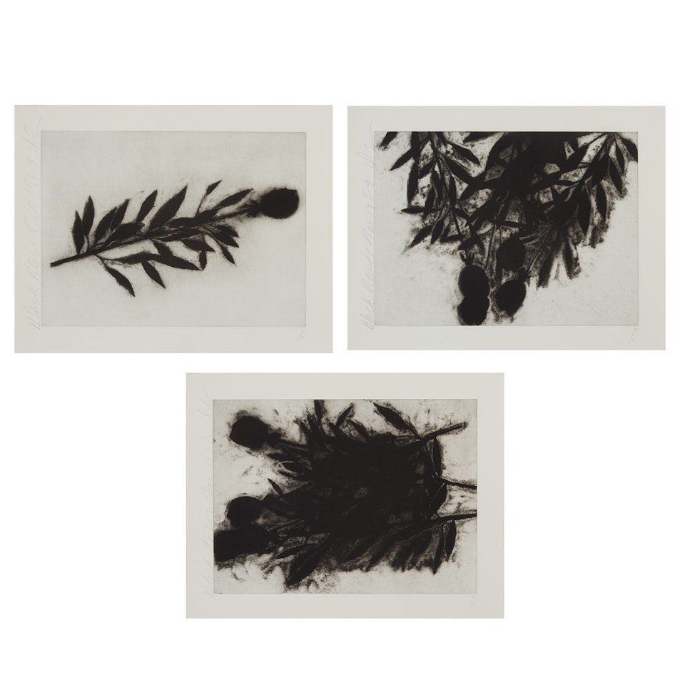 BLACK ROSES by Donald Sultan