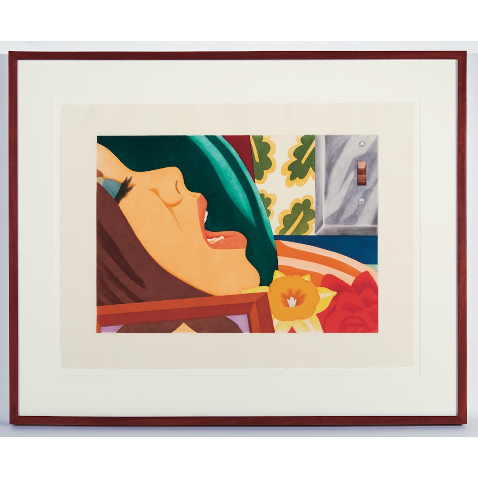 BEDROOM FACE by Tom Wesselmann