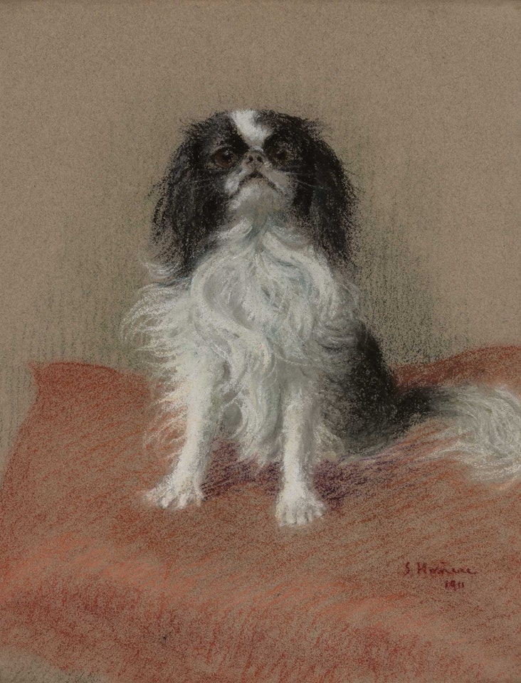 Yoko, a King Charles Spaniel by French School