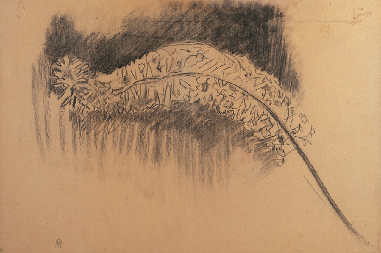 Foxtail Lily: Study V by Piet Mondrian