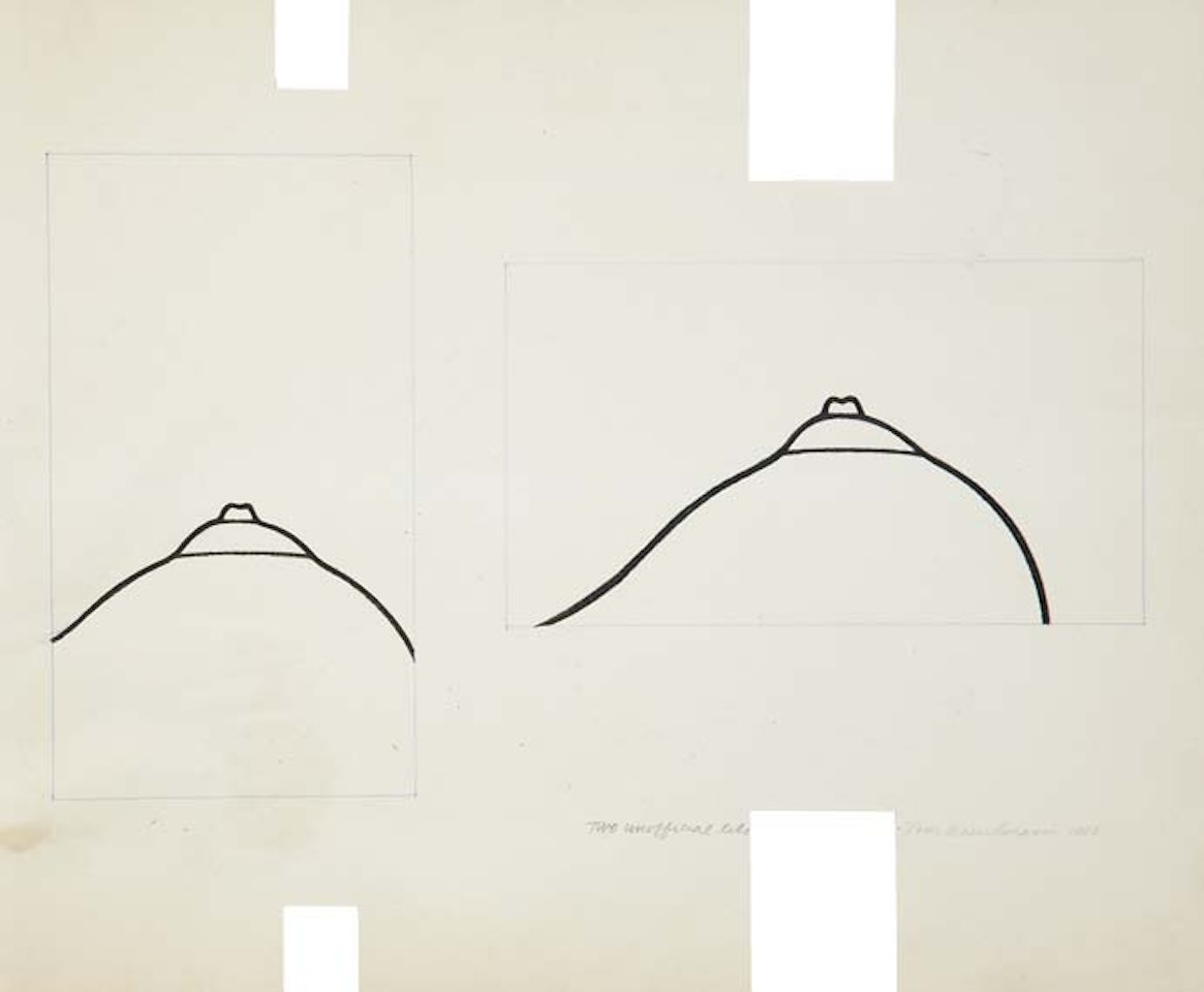 Two Unofficial Tits by Tom Wesselmann