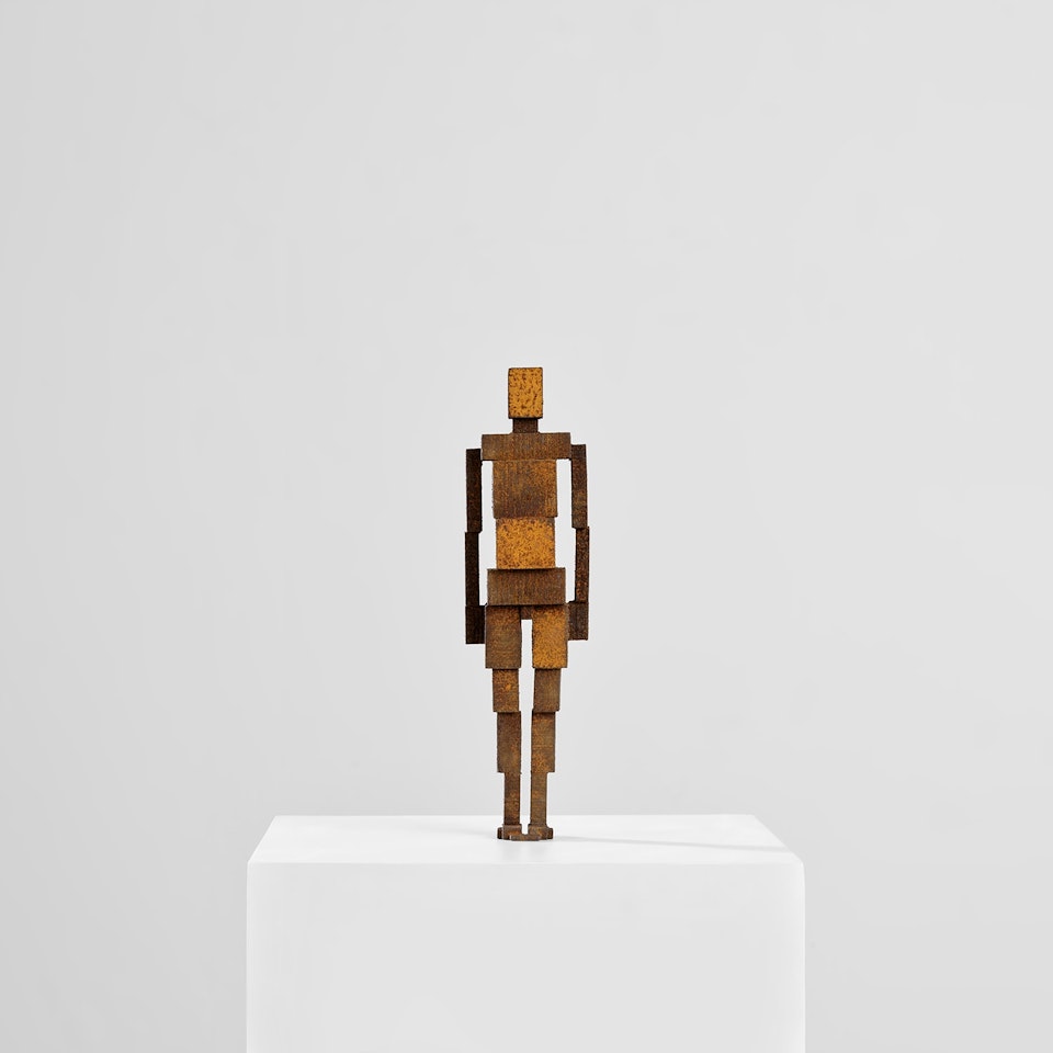 Meme CXX by Antony Gormley