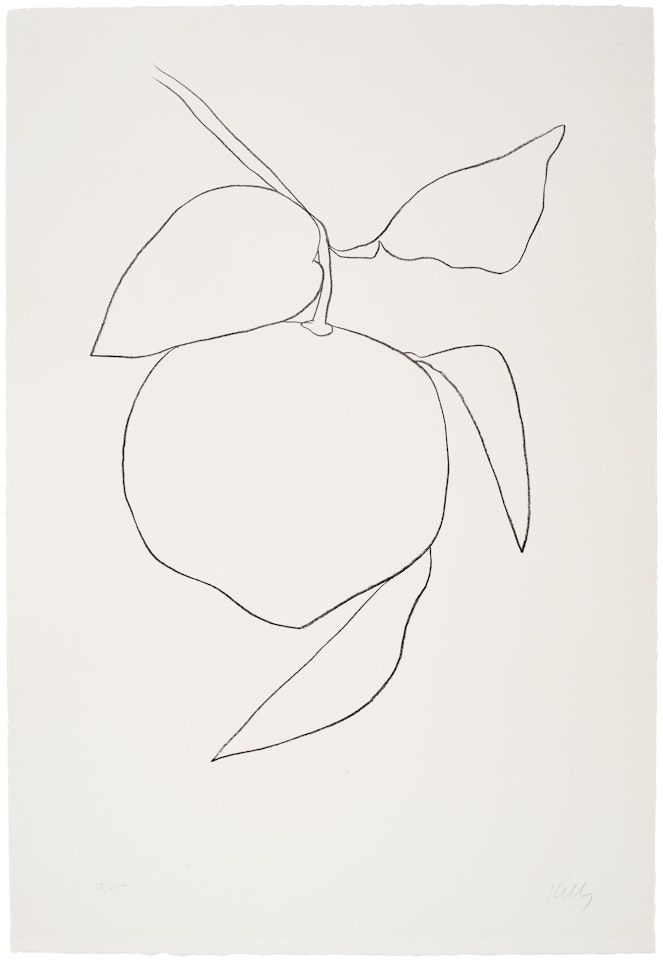 Grapefruit (Pamplemousse), from Suite of Plant Lithographs by Ellsworth Kelly