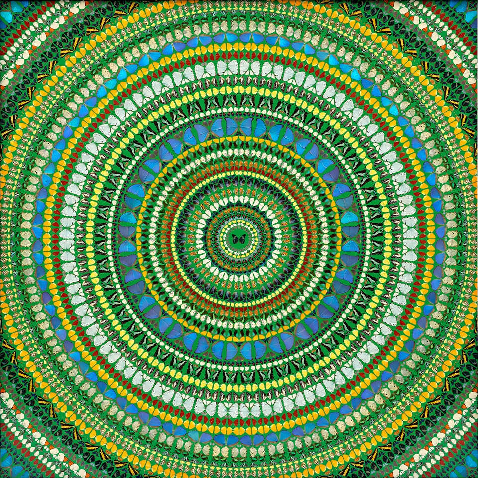 Prodigal by Damien Hirst