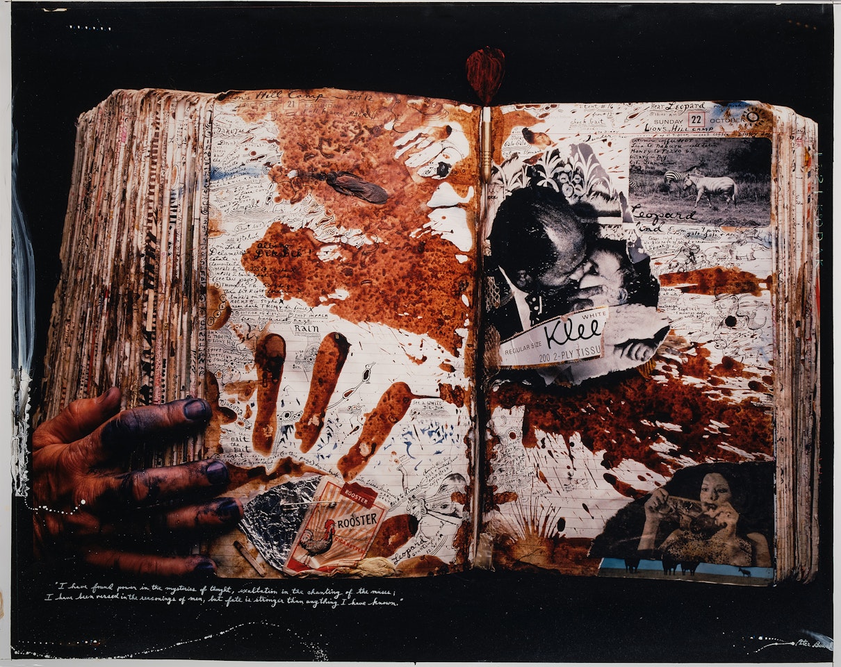 Diary Page by Peter Beard