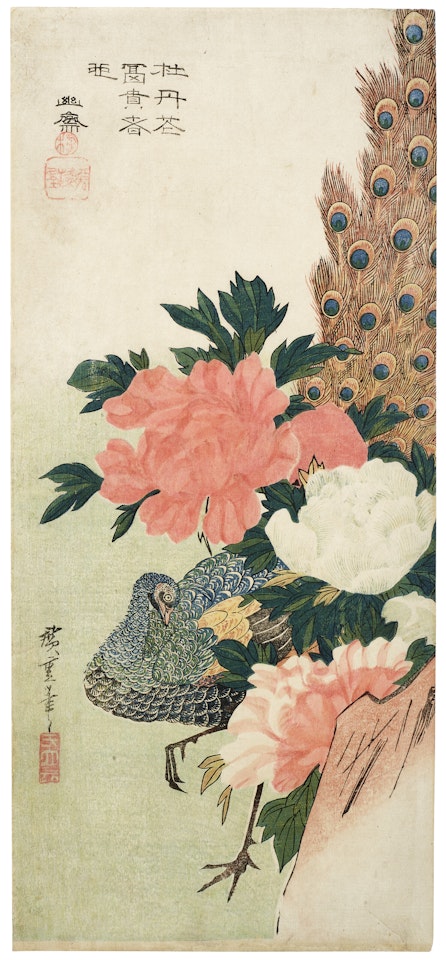Peacock and peonies by Utagawa Hiroshige
