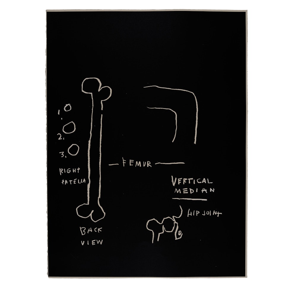 Femur, from Anatomy by Jean-Michel Basquiat