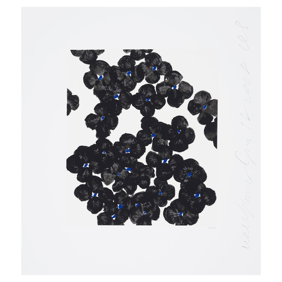 Wallflower 8; Wallflower 35, from the Wallflower Suite by Donald Sultan