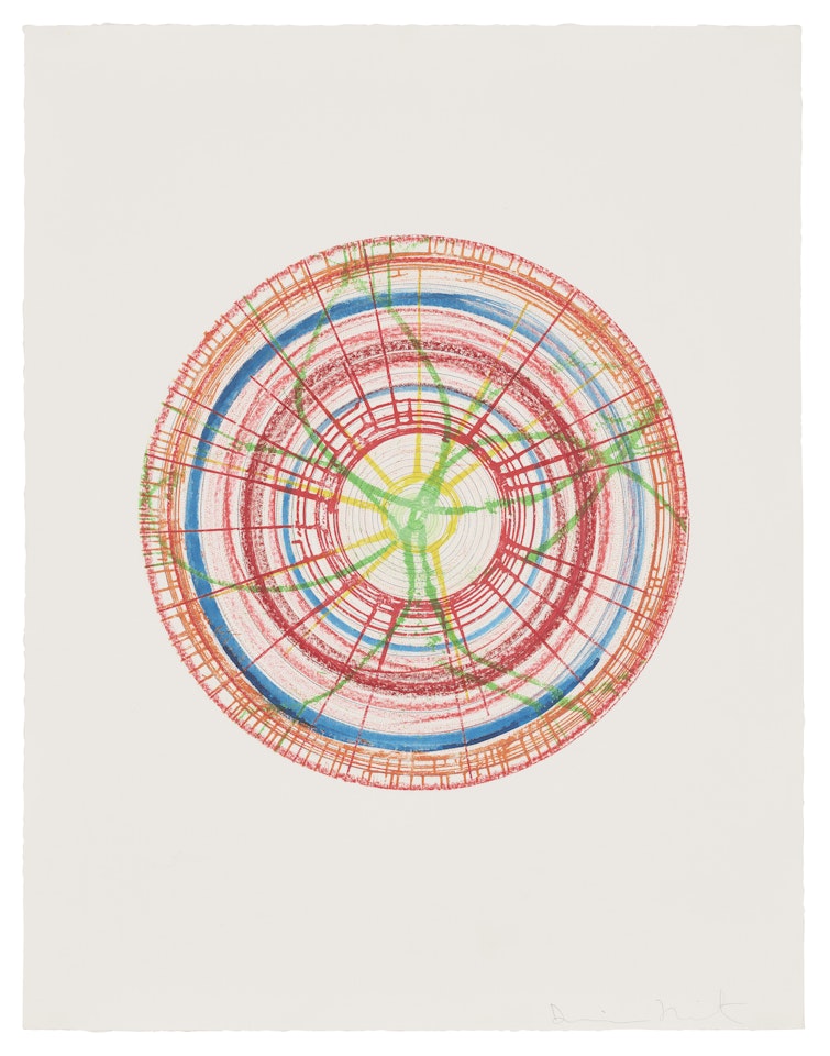 Liberty, from the portfolio: In a Spin, The Action of the World on Things, Volume I by Damien Hirst