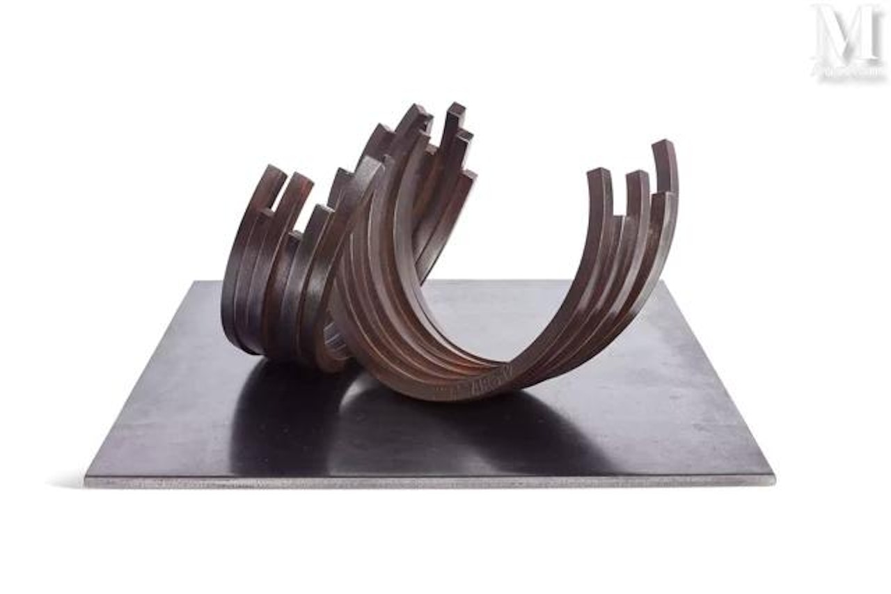 221.5˚ Arc x 12 by Bernar Venet