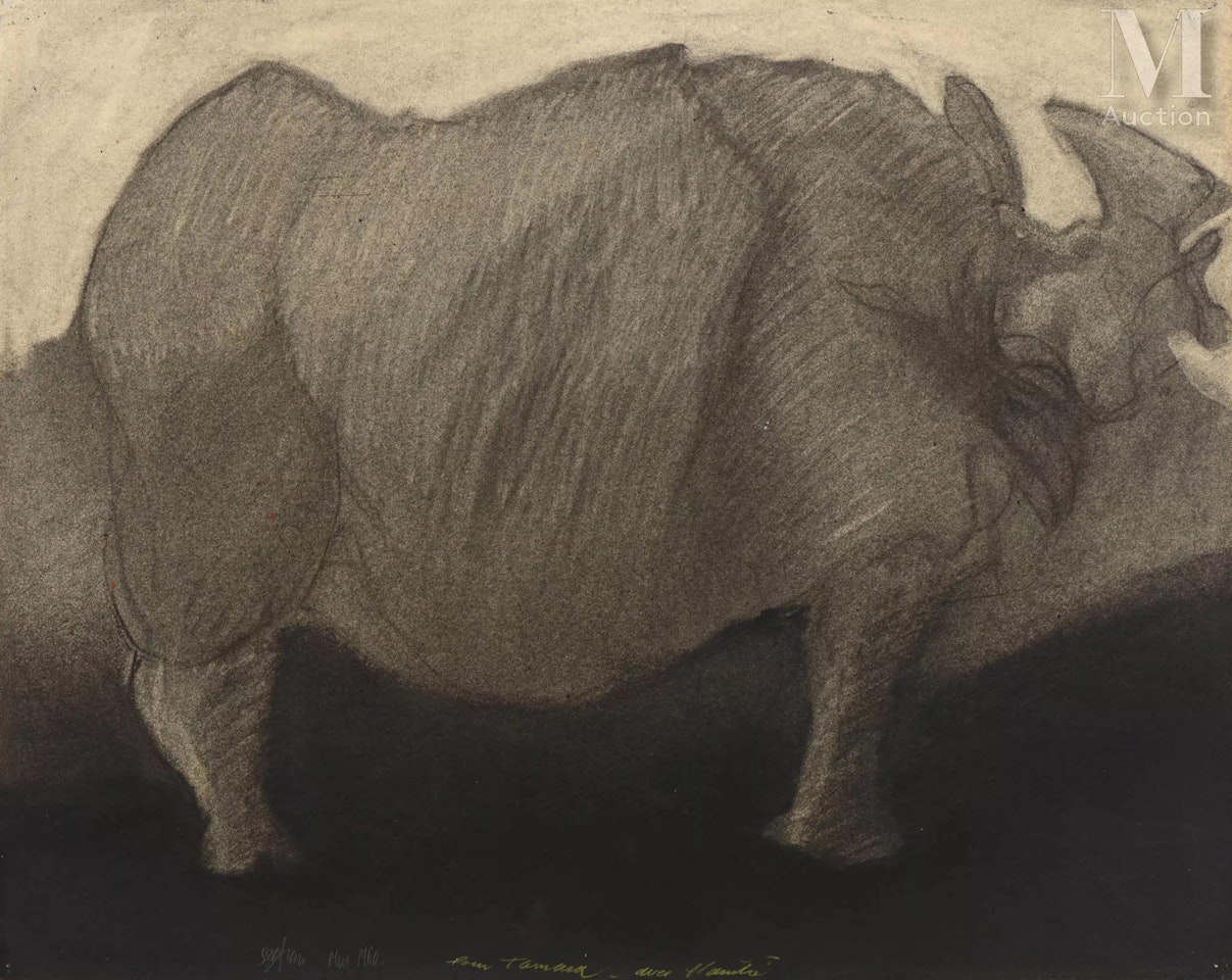 Rhinoceros by Sam Szafran