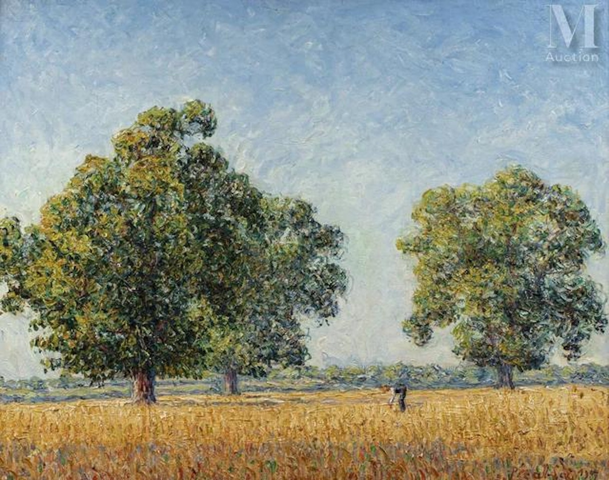 Chestnut trees in Munot, sun effect by Francis Picabia