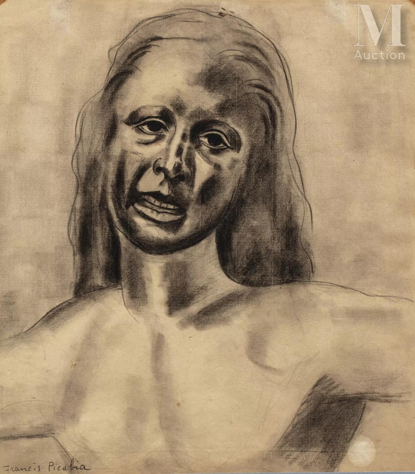 Woman in bust by Francis Picabia