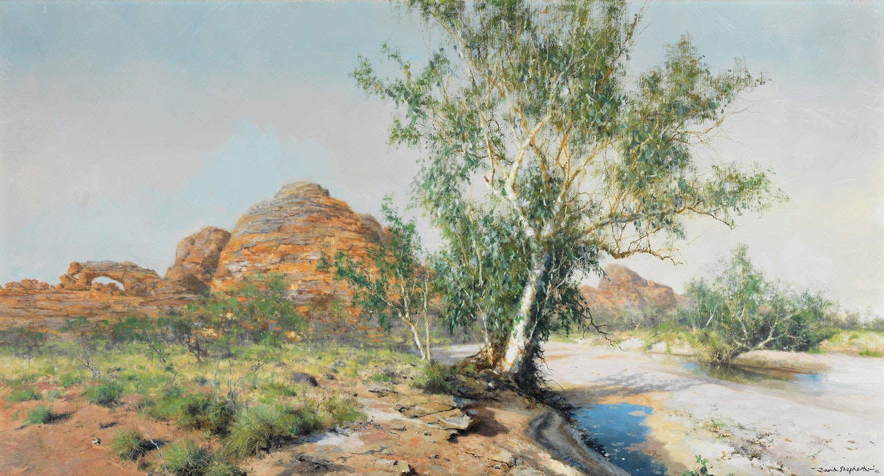 The Bungle Bungles by David Shepherd