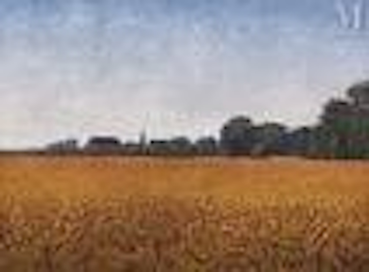 Landscape by Gustave Cariot