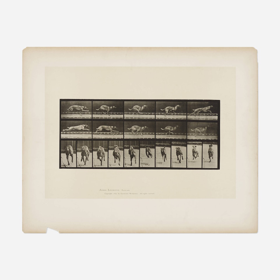 Plate 708 (from the Animal Locomotion series) by Eadweard Muybridge