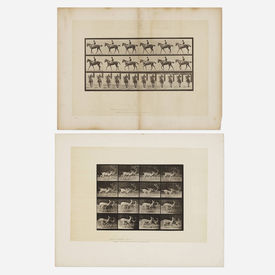Plates 580 and 684 (from the Animal Locomotion series) (two works) by Eadweard Muybridge
