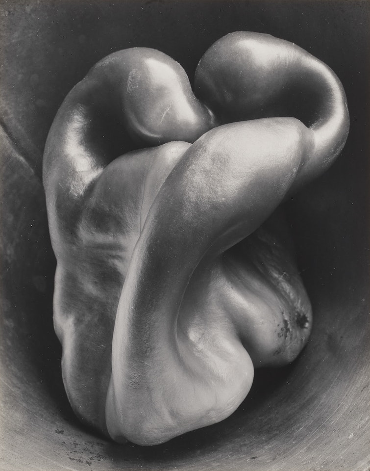 Pepper No. 30 by Edward Weston