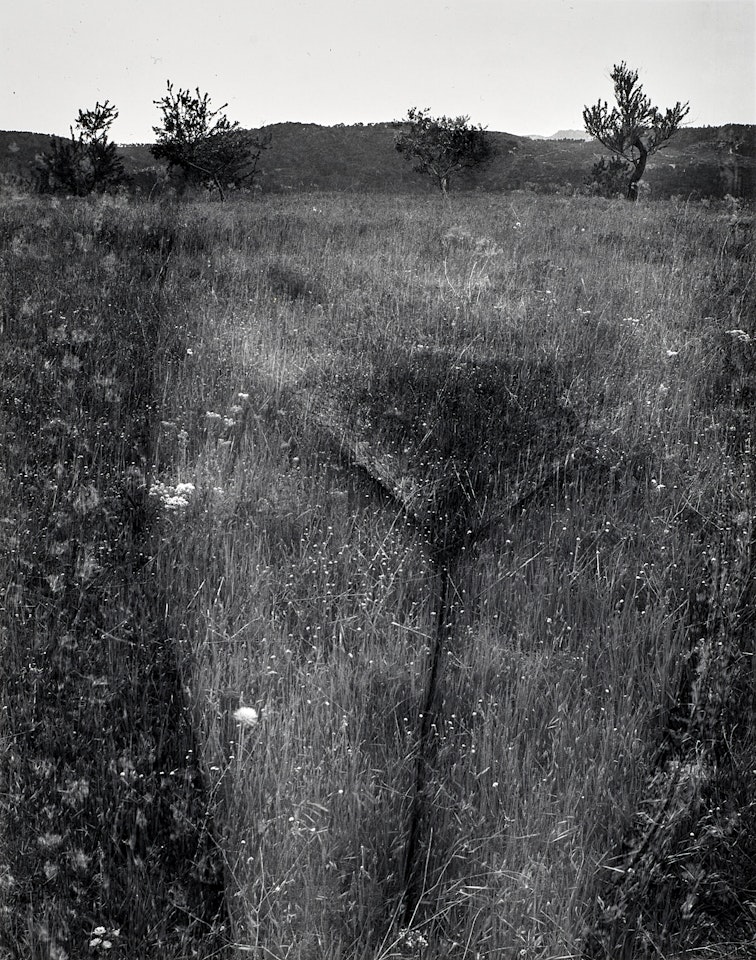 Eleanor, Aix-en-Provence, France by Harry Callahan